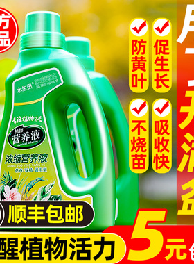 营养液植物通用型绿萝富贵竹发财树巴西木多肉水培养花卉绿植花肥
