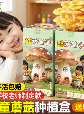 儿童种植小盆栽蘑菇种植包盒子可食用黑平菇菌包菌种学生自种家庭