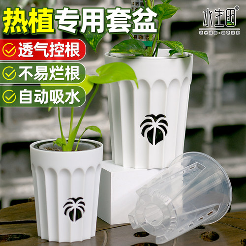 热植专用花盆塑料家用控根透气