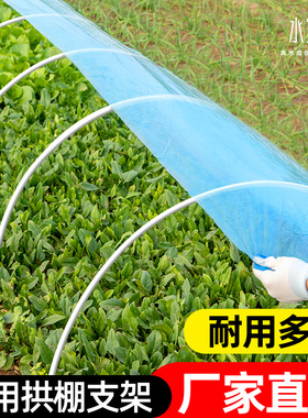 大棚骨架玻璃纤维拱棚支架保温棚拱杆花棚菜棚农用拱竿玻璃钢实心