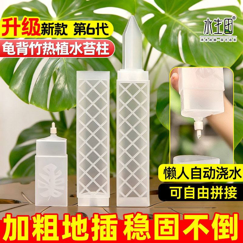 龟背竹水苔柱支撑杆新型植物热植专用可拼接固定神器攀爬柱水台柱,鲜花速递/花卉仿真/绿植园艺,其它园艺用品,淘宝优惠券,粉丝福利购,淘宝优惠卷