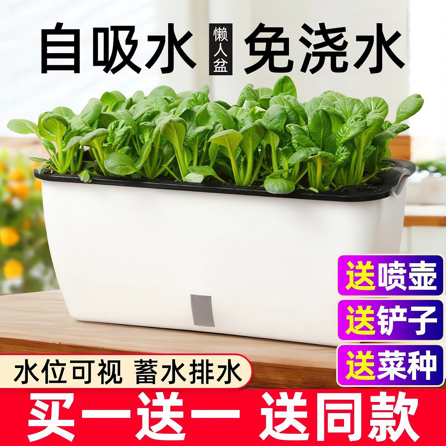 种菜神器盆栽家庭阳台塑料图片