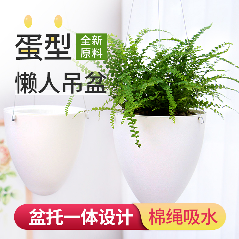 简约塑料自吸水可悬挂