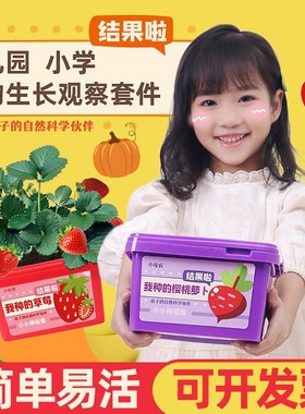 儿童种植小盆栽科学观察水果草莓宝宝迷你小花农植物盲盒发芽农场