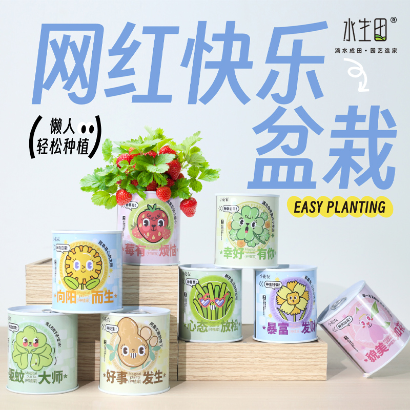 水生田儿童种植小盆栽四季室内