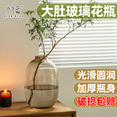玻璃花瓶摆件客厅插花透明水养轻奢高级感水培鲜花大口径绿植卧室