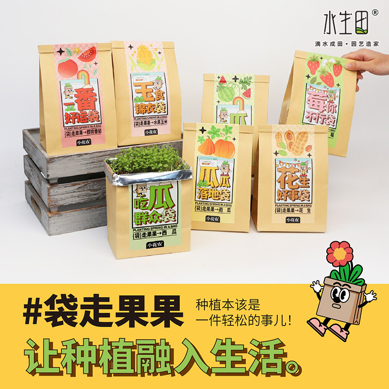 儿童趣味植物小盆栽苔藓微景观网红创意幼儿园学生观察植物套装