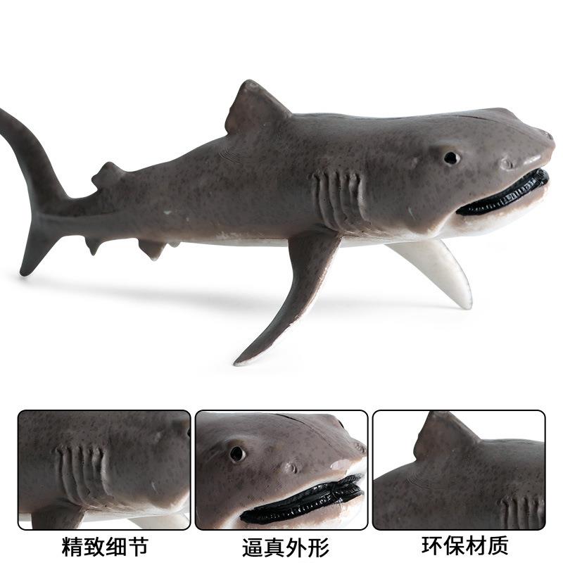 儿童实心海洋生物动物模型玩具鲨鱼大白鲨巨口鲨鲛鲨仿真动物玩偶