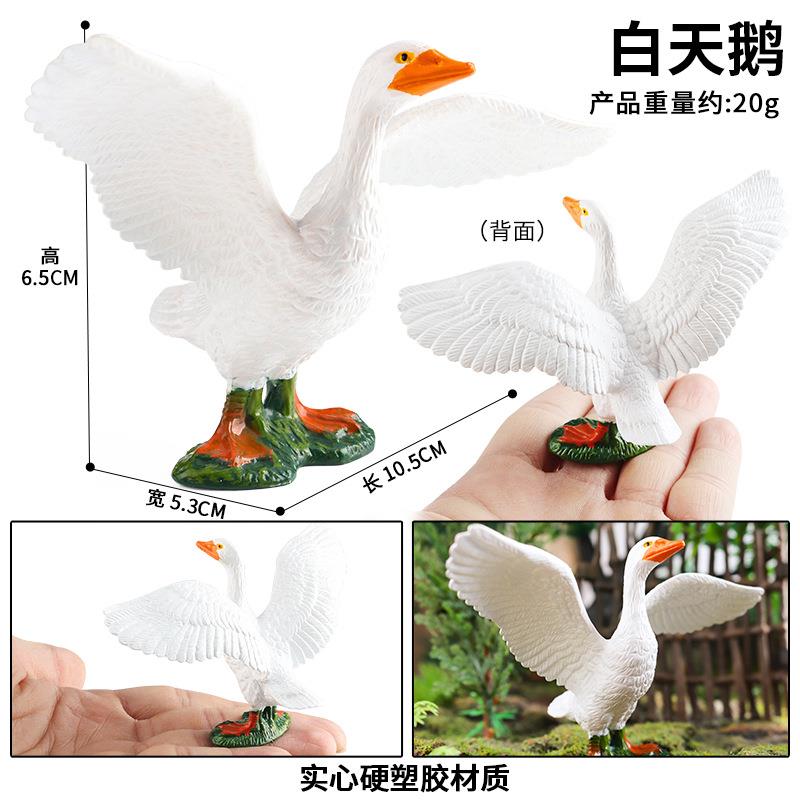 仿真天鹅模型飞禽动物玩具儿童玩具实心白天鹅家禽认知过家家摆件