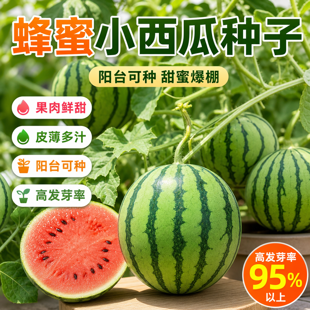 超甜蜂蜜小西瓜种子无籽小西瓜种子四季种植阳台庭院盆栽水果种子
