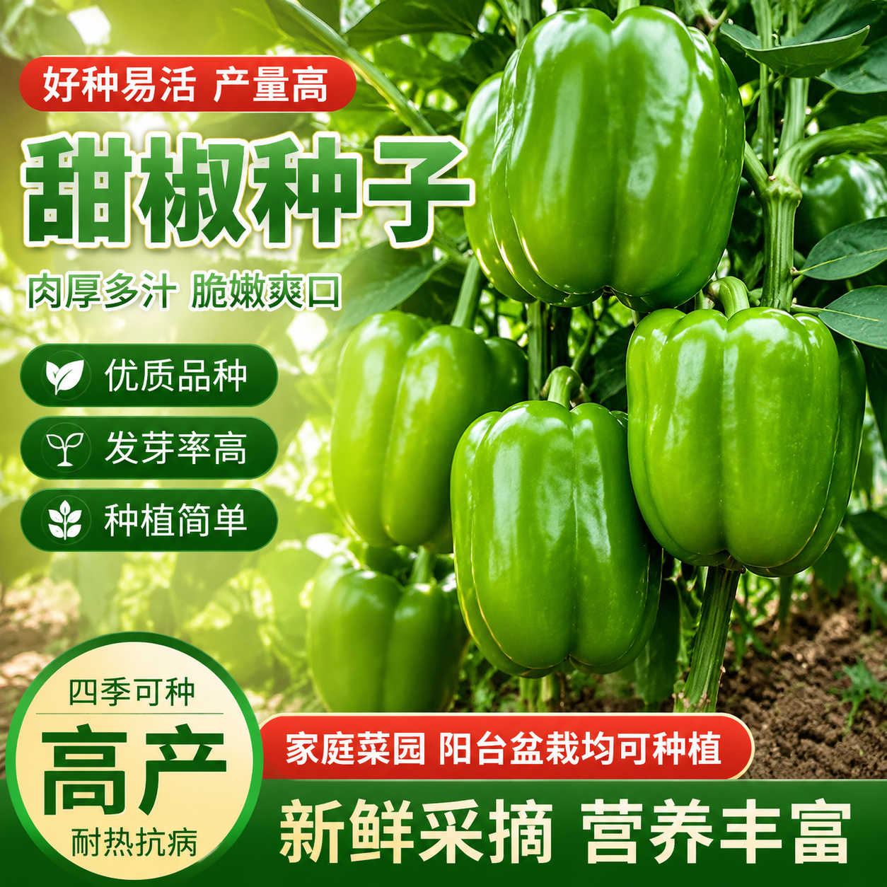 甜椒种子青椒菜椒灯笼椒辣椒种籽四季盆栽菜籽庭院春秋季蔬菜种子