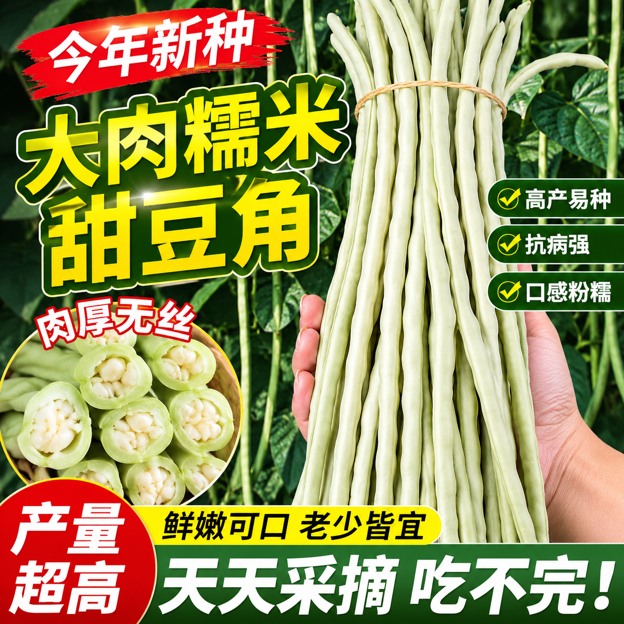超好吃大肉糯米甜豆角种子白长豆角春夏秋播白玉长豇豆易种蔬菜孑