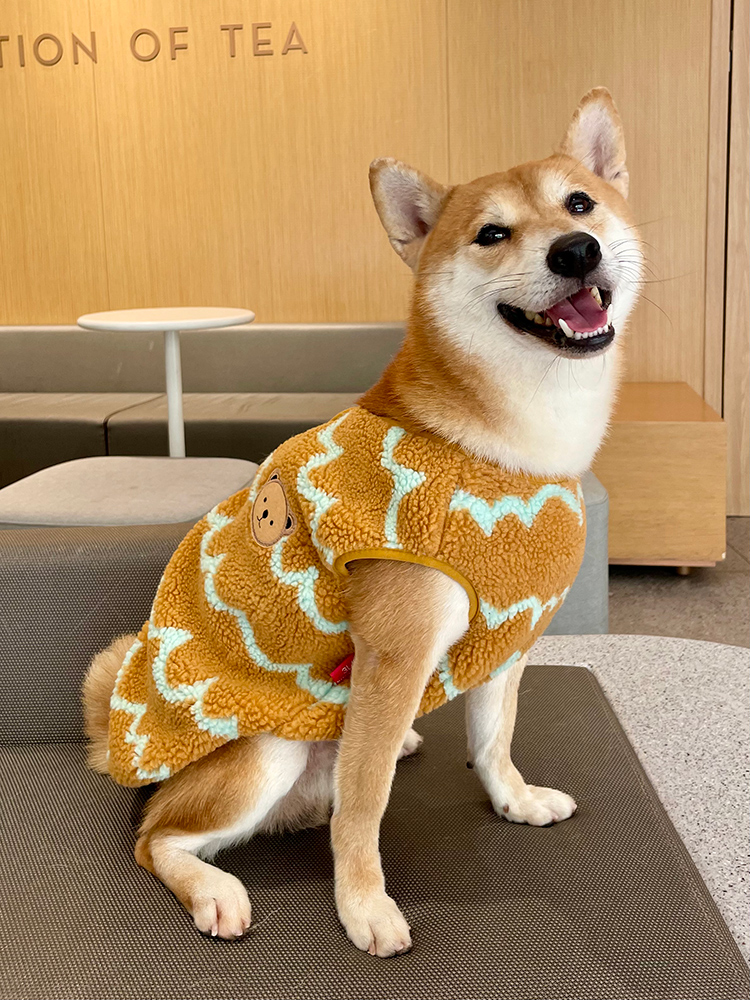 宠物狗双面绒加厚保暖马甲冬季