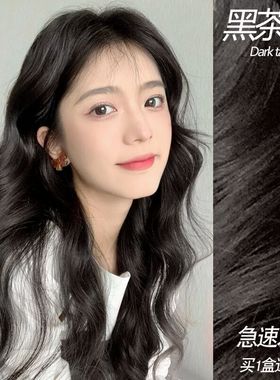 黑茶色染发剂膏2024流行色免漂显白黑茶灰色棕色植物自己染女纯