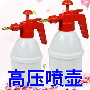 喷雾器清洁高压小喷雾瓶 喷壶家用消毒喷水壶园艺浇花洒水壶气压式
