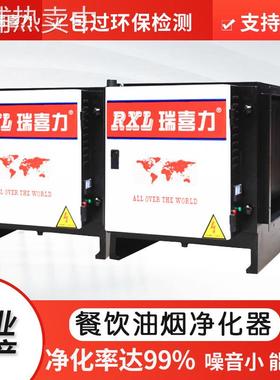 厂家供应DGRH-BS-4K油烟净化器厨房酒店餐饮业业油烟净化设备