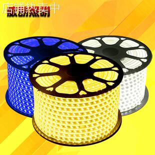 5730led双色变光灯带三色遥控变光软灯条防水装饰双排高亮220