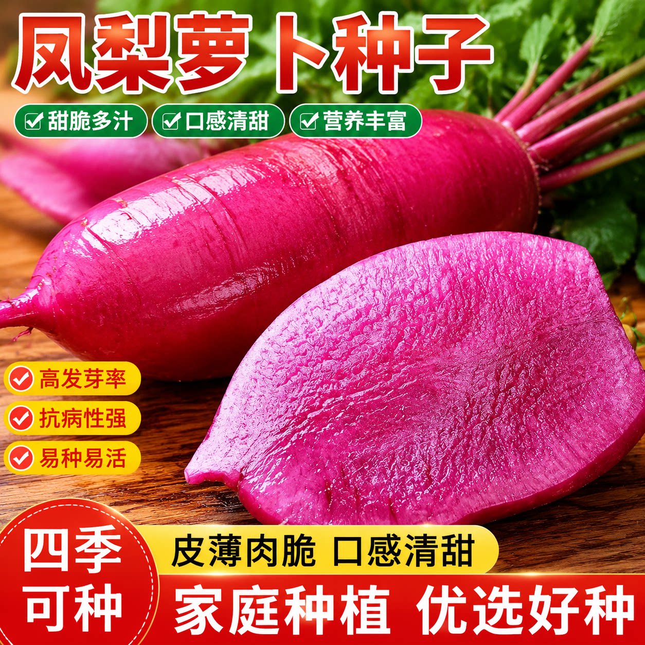 凤梨水果萝卜种子生吃紫美人萝卜胭脂萝卜籽四季夏季蔬菜种子大全