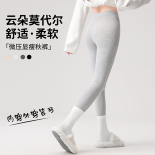 莫代尔棉女秋裤2026新款外穿无痕保暖大码高弹紧身显瘦打底裤线裤