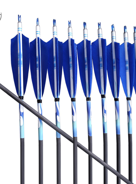 PMZ真羽纯碳箭80-85厘米400-600挠度6支装反曲弓美猎弓传统弓箭支