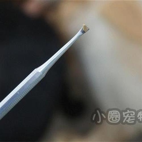 宠物狗去牙结石除牙垢工具泰迪金毛洁牙狗狗口腔清洁专用洁齿器