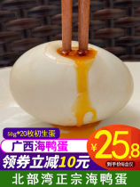 The first egg of mangrove grove in Beibu Bay, Guangxi