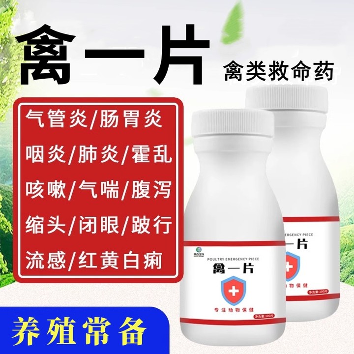 养鸡专用豪迈鸡鸭鹅鸽子