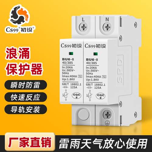 初设浪涌防雷保护器2p模块家用二级电源避雷防雷器交流电源保护