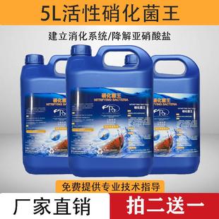硝化细菌鱼缸鱼池专用水质清澈剂除藻稳定剂 消化细菌鱼用5L大桶装