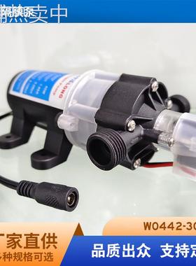 厂家供应直流低噪音微型自吸XTL自动启停水泵30W单泵电动隔膜泵