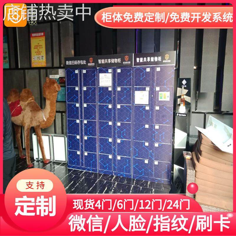 洛阳智能红外条码寄存柜/存包柜/储物柜/无尘车间员工物品保管柜