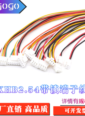 XHB2.54mm带锁扣端子线 单头/双头电子连接线2-6P现货20CM长 定制
