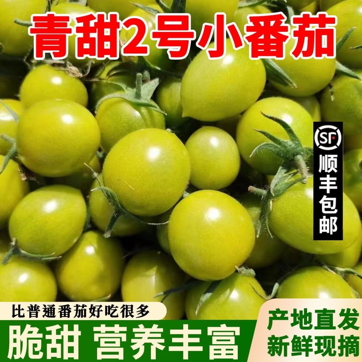 正宗清甜2号小番茄自然生长营养