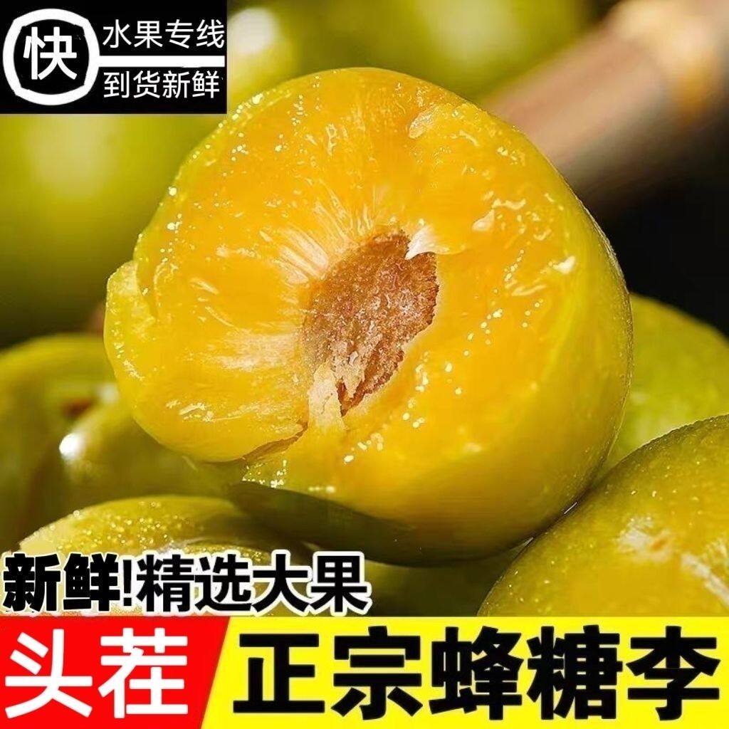 四川高山野生脱骨脆甜李子现摘