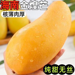 正宗海南金煌芒纸核芒树上熟金皇芒金黄芒新鲜水仙芒9斤果园直发