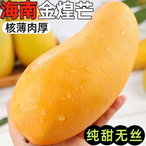 正宗海南金煌纸芒果大果软糯香甜