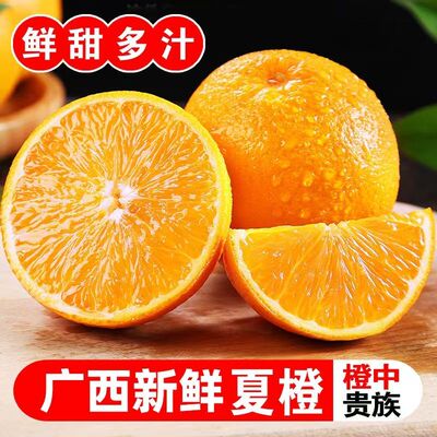 广西夏橙新鲜水果树熟果金黄皮薄