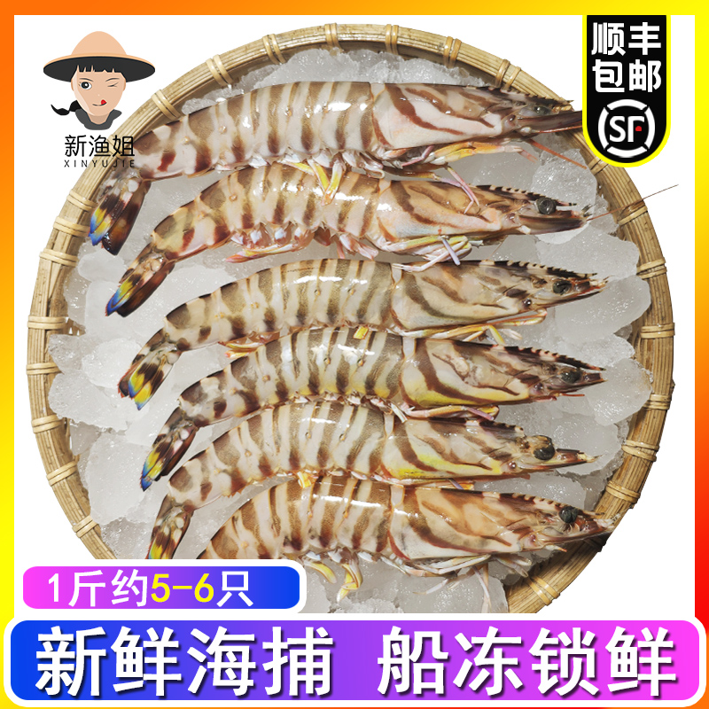 舟山海捕特大非冷冻野生基围虾