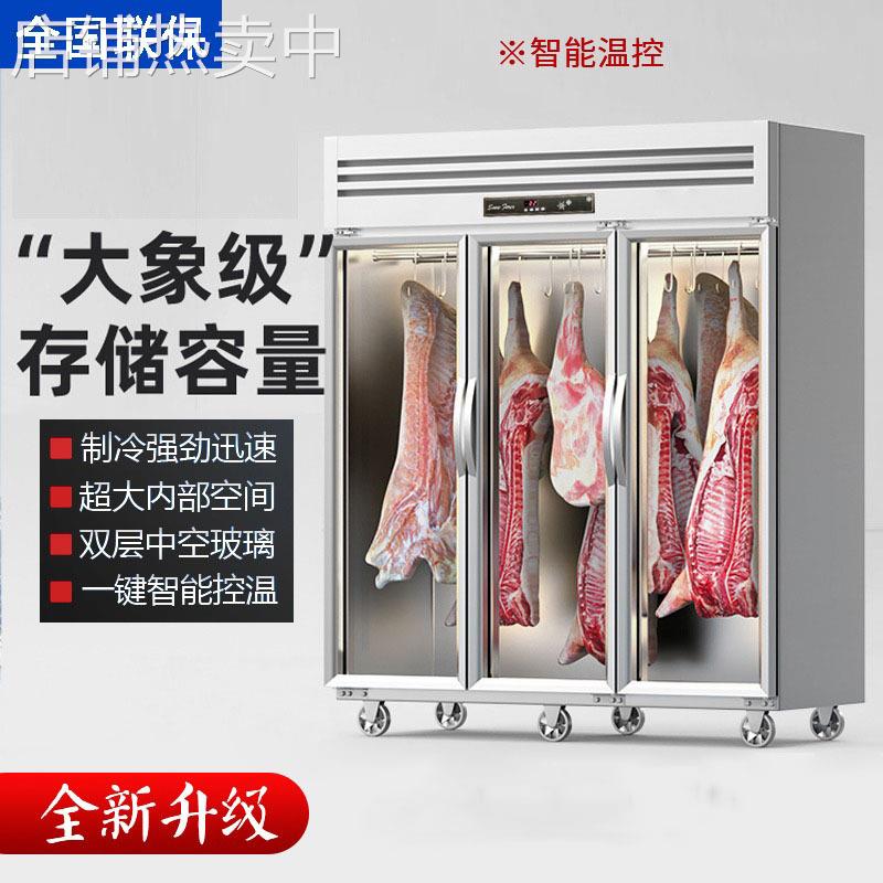 恩典商用猪牛羊肉排酸保鲜柜大冷冻柜双杆立式冷藏展示柜玻璃冰箱