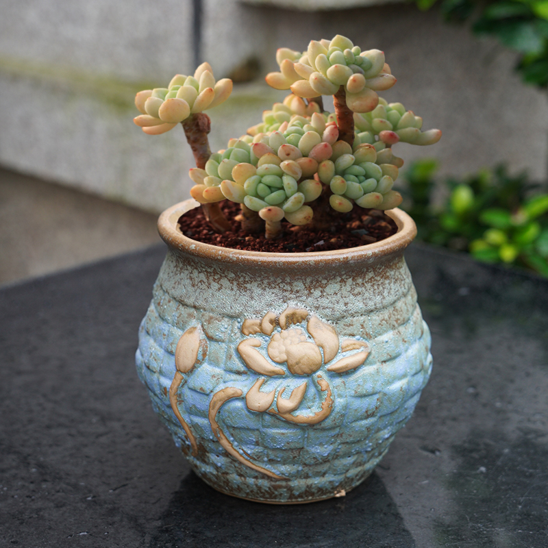 奇德多粗陶肉花盆个性田园陶瓷