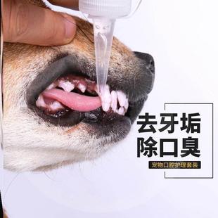 狗狗洗牙器牙结石去除器泰迪工具犬猫去除牙垢洁牙笔洁牙器洗牙器