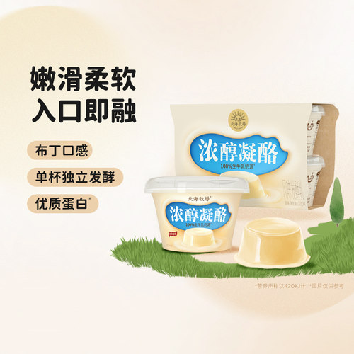 北海牧场酸奶牛奶浓醇凝酪12杯
