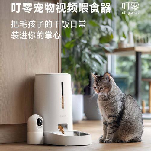 叮零宠物喂食器，2K超清远程看宠