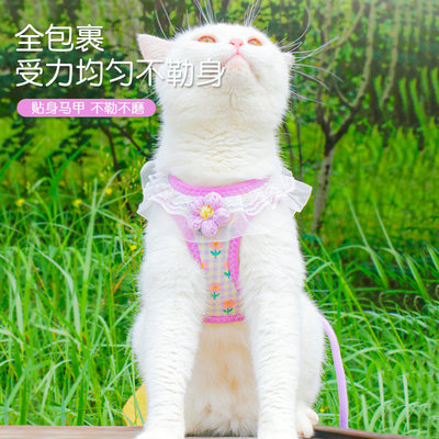 DODOPET狗链子猫猫狗胸背带套装