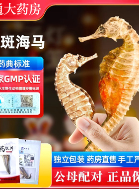 三斑海马中药材正品一公一母配对海龙海马泡酒料煲汤饮片海马干货