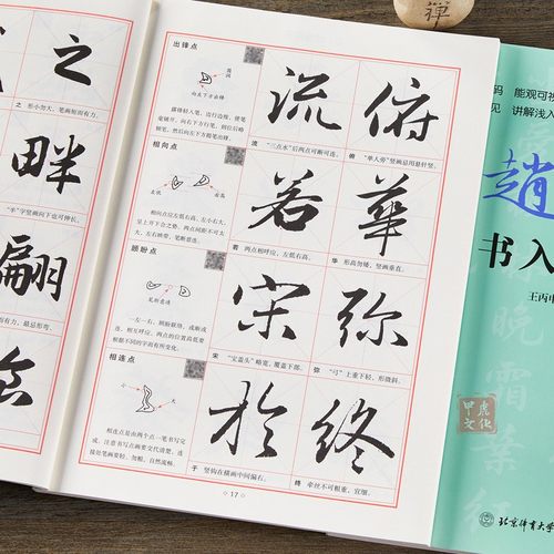赵体行书入门视频教程