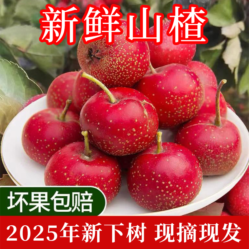 新鲜山楂鲜果甜红子甜口小山楂水果山楂冰糖葫芦原料专用山里红