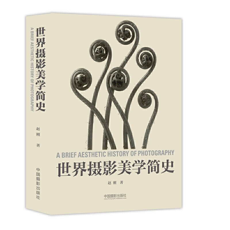 【当当网正版书籍】世界摄影美学简史属于什么档次？
