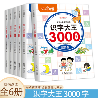 识字大王3000字 【全6册】 幼儿启蒙训练 幼儿左右脑开发 幼儿识字启蒙 儿童识字练习书 幼小衔接启蒙书