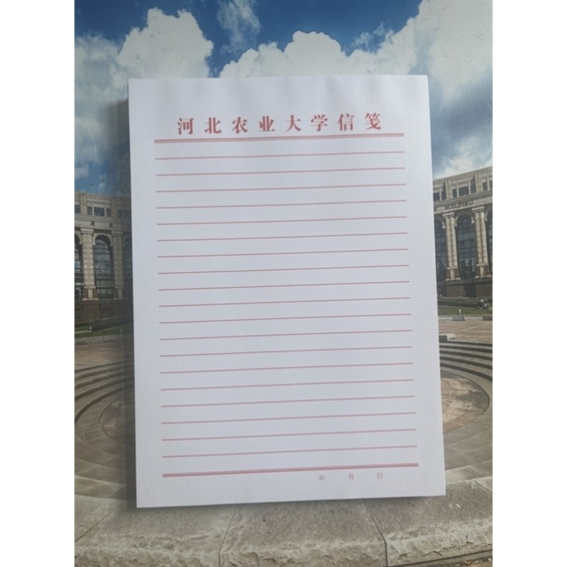 河北农业大学稿纸抬头双线信纸信笺横线作业纸草稿纸16开一本40张